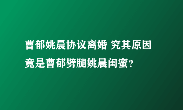 曹郁姚晨协议离婚 究其原因竟是曹郁劈腿姚晨闺蜜？