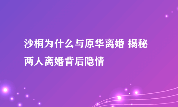 沙桐为什么与原华离婚 揭秘两人离婚背后隐情