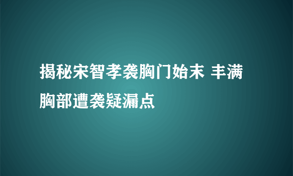 揭秘宋智孝袭胸门始末 丰满胸部遭袭疑漏点