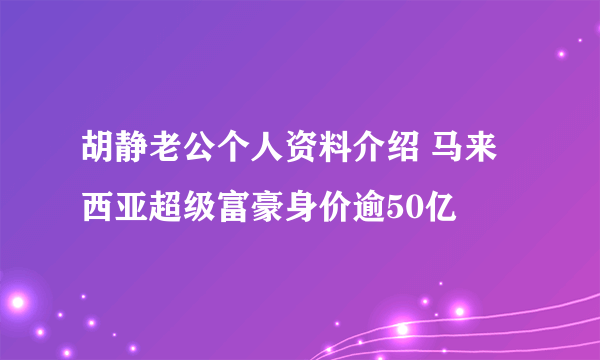 胡静老公个人资料介绍 马来西亚超级富豪身价逾50亿