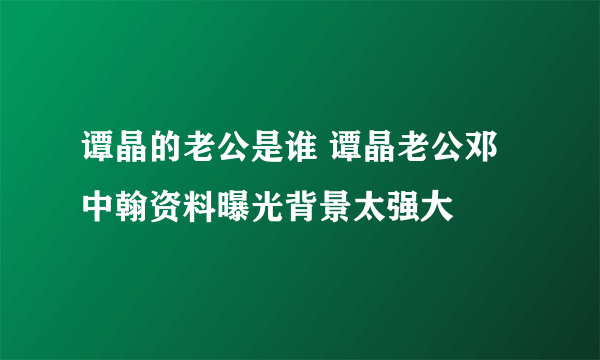 谭晶的老公是谁 谭晶老公邓中翰资料曝光背景太强大