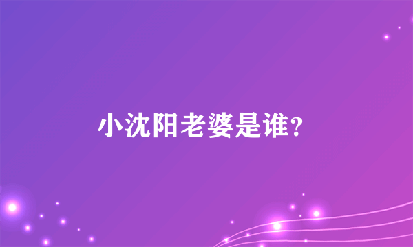 小沈阳老婆是谁？