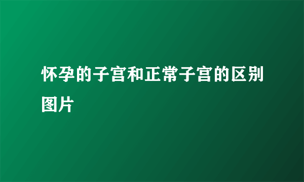 怀孕的子宫和正常子宫的区别图片