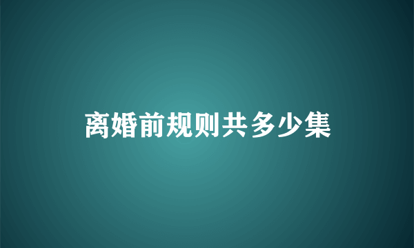 离婚前规则共多少集