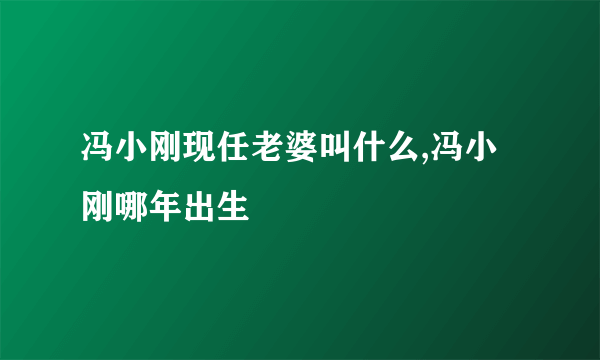 冯小刚现任老婆叫什么,冯小刚哪年出生