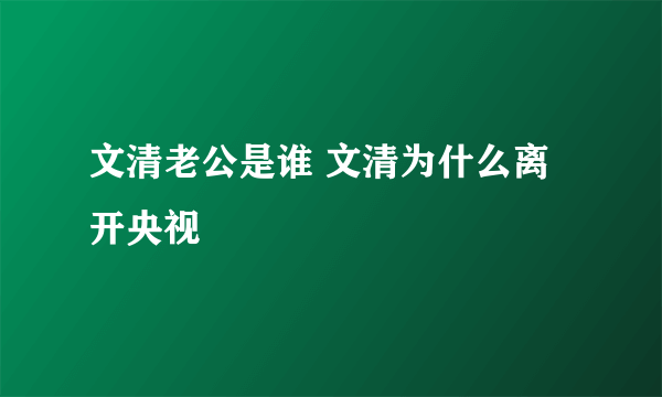 文清老公是谁 文清为什么离开央视