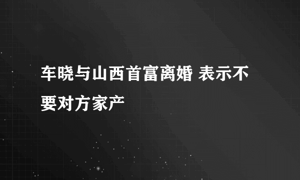 车晓与山西首富离婚 表示不要对方家产