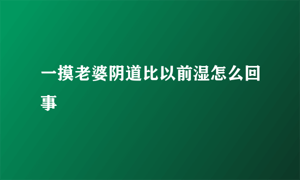 一摸老婆阴道比以前湿怎么回事