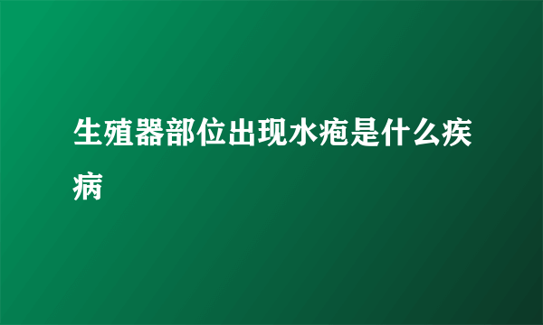 生殖器部位出现水疱是什么疾病