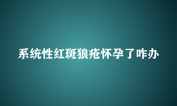 系统性红斑狼疮怀孕了咋办