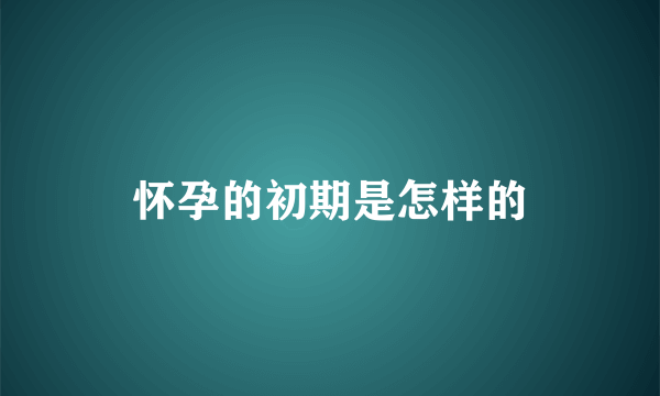 怀孕的初期是怎样的