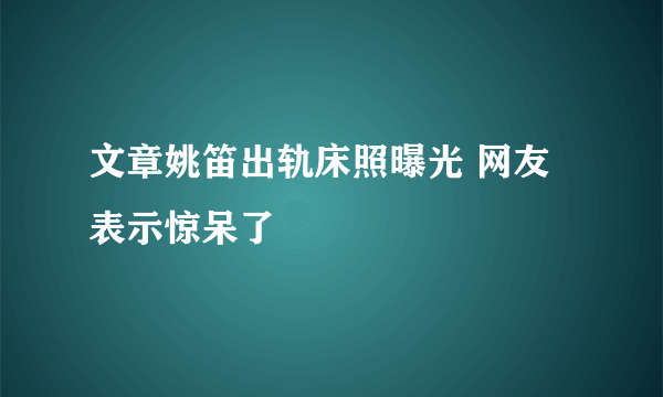 文章姚笛出轨床照曝光 网友表示惊呆了