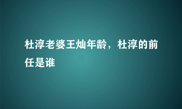 杜淳老婆王灿年龄，杜淳的前任是谁