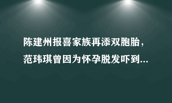 陈建州报喜家族再添双胞胎，范玮琪曾因为怀孕脱发吓到小s，你怎么看？