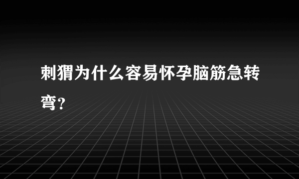 刺猬为什么容易怀孕脑筋急转弯？