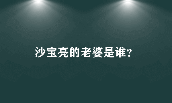 沙宝亮的老婆是谁？