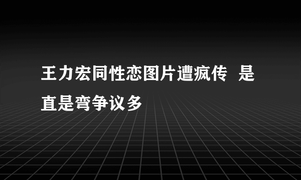 王力宏同性恋图片遭疯传  是直是弯争议多