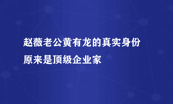 赵薇老公黄有龙的真实身份 原来是顶级企业家