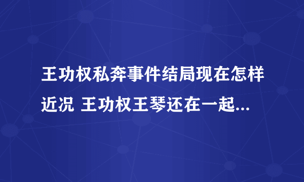 王功权私奔事件结局现在怎样近况 王功权王琴还在一起么结婚了吗