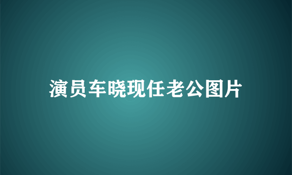 演员车晓现任老公图片