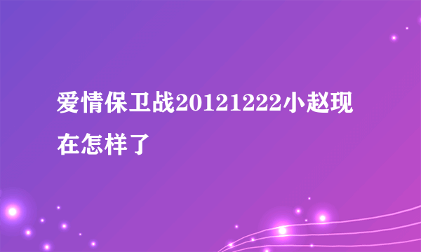 爱情保卫战20121222小赵现在怎样了