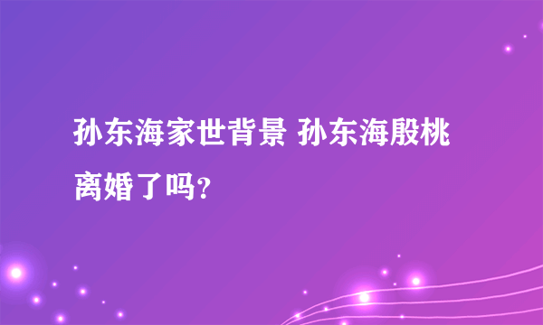 孙东海家世背景 孙东海殷桃离婚了吗？