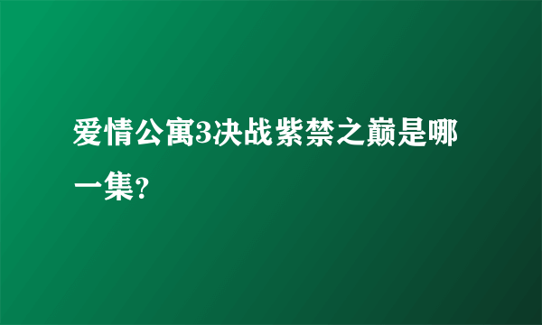 爱情公寓3决战紫禁之巅是哪一集？