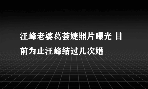 汪峰老婆葛荟婕照片曝光 目前为止汪峰结过几次婚