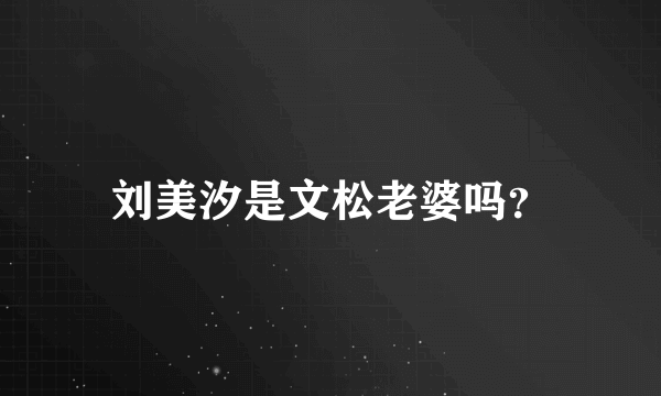 刘美汐是文松老婆吗？