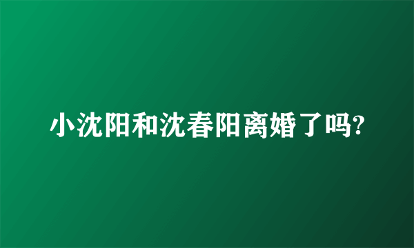 小沈阳和沈春阳离婚了吗?