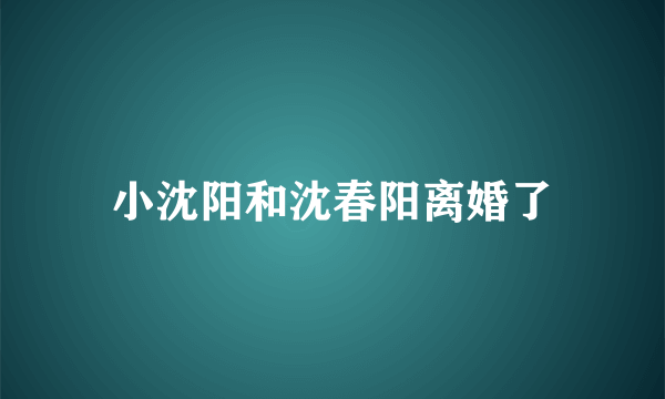 小沈阳和沈春阳离婚了