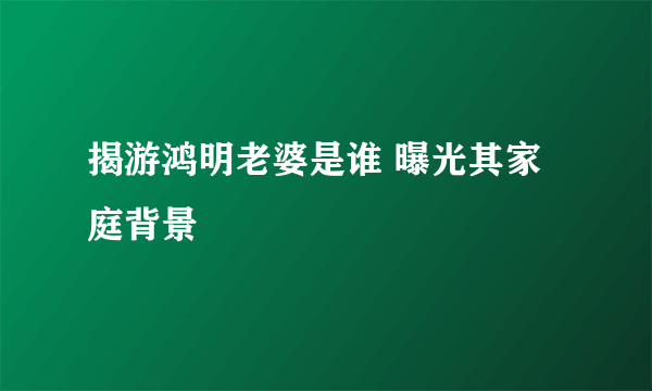 揭游鸿明老婆是谁 曝光其家庭背景