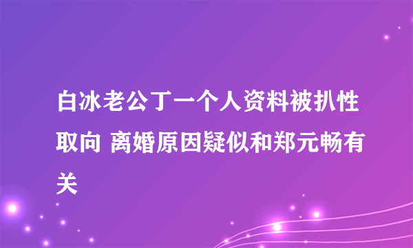 白冰老公丁一个人资料被扒性取向 离婚原因疑似和郑元畅有关