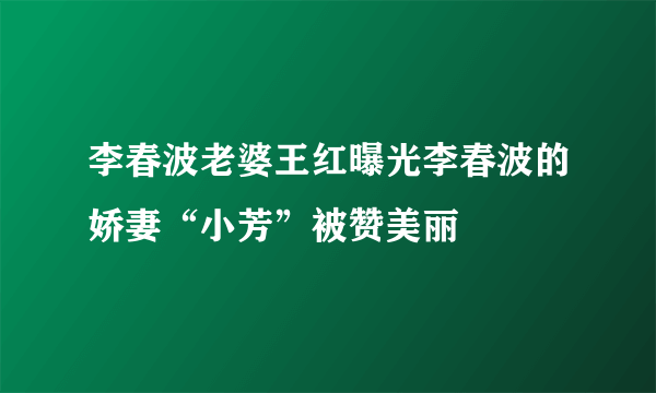 李春波老婆王红曝光李春波的娇妻“小芳”被赞美丽