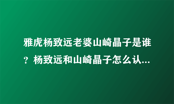 雅虎杨致远老婆山崎晶子是谁？杨致远和山崎晶子怎么认识几个孩子