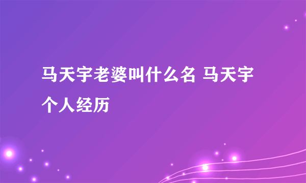 马天宇老婆叫什么名 马天宇个人经历