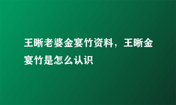 王晰老婆金宴竹资料，王晰金宴竹是怎么认识