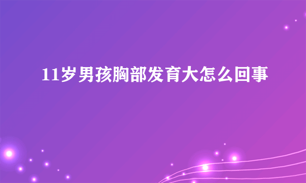 11岁男孩胸部发育大怎么回事