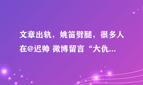 文章出轨，姚笛劈腿，很多人在@迟帅 微博留言“大仇已报”是什么意思？