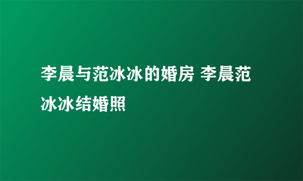 李晨与范冰冰的婚房 李晨范冰冰结婚照