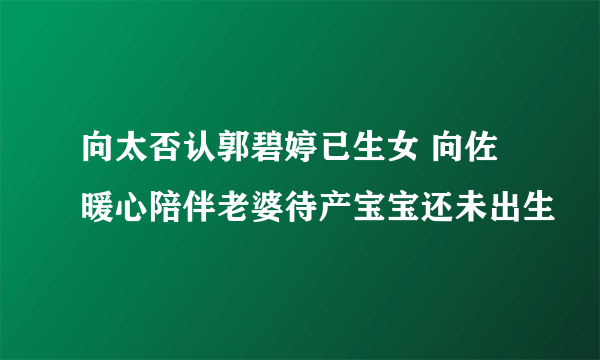 向太否认郭碧婷已生女 向佐暖心陪伴老婆待产宝宝还未出生