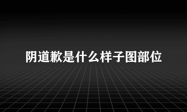 阴道歉是什么样子图部位