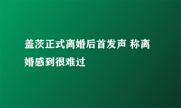 盖茨正式离婚后首发声 称离婚感到很难过