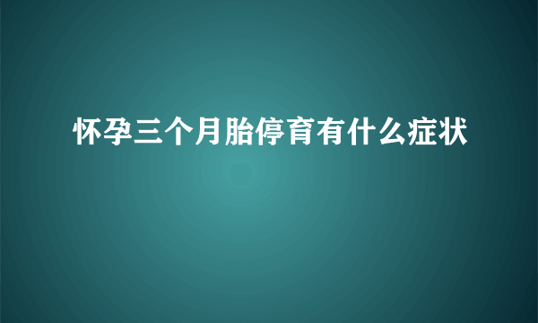 怀孕三个月胎停育有什么症状