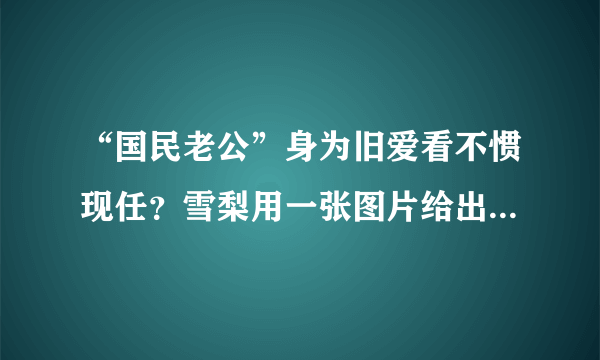 “国民老公”身为旧爱看不惯现任？雪梨用一张图片给出了标准答案- 飞外网