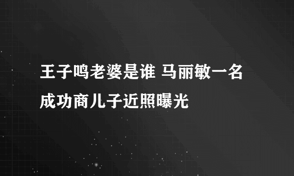 王子鸣老婆是谁 马丽敏一名成功商儿子近照曝光