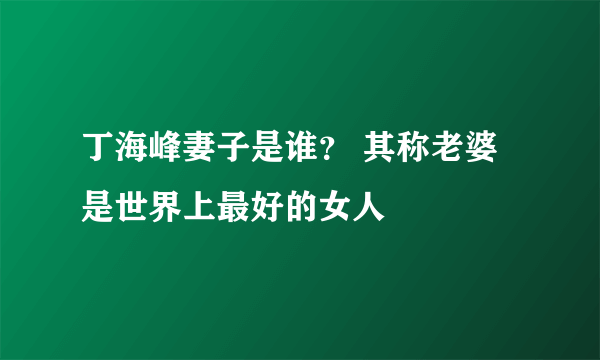 丁海峰妻子是谁？ 其称老婆是世界上最好的女人