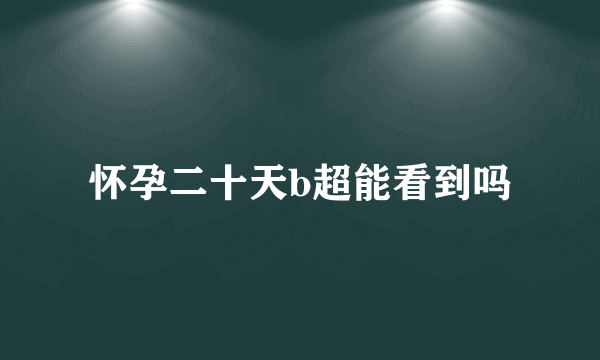 怀孕二十天b超能看到吗