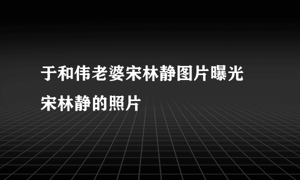 于和伟老婆宋林静图片曝光 宋林静的照片