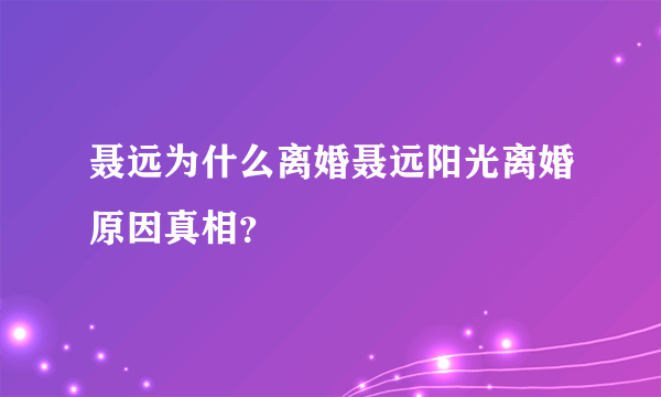 聂远为什么离婚聂远阳光离婚原因真相？